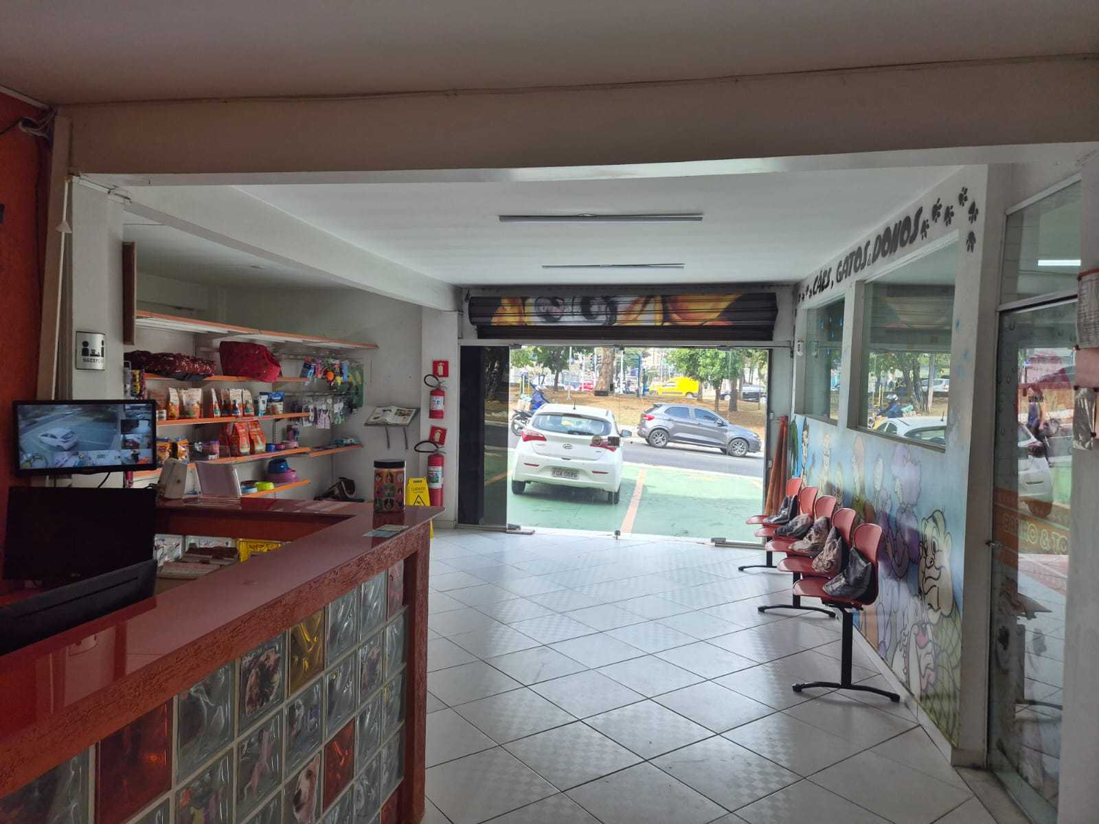 Foto da Galeria
